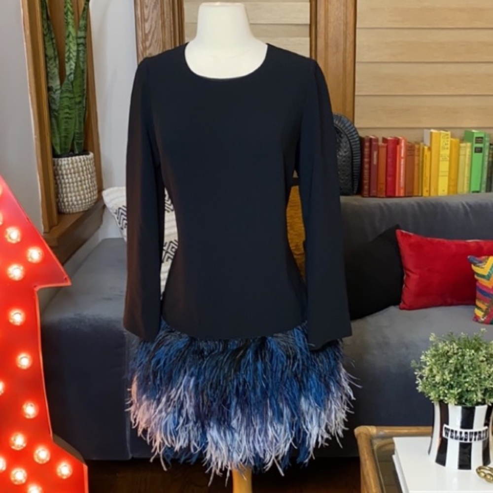 Elizabeth and James Serena Long Sleeve Tiered Ombré Feather Skirt Dress